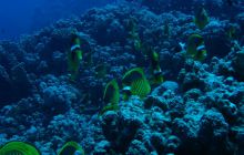 Egipt Hurghada - wrzesień 2007