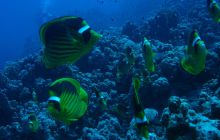 Egipt Hurghada - wrzesień 2007