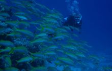 Egipt Hurghada - wrzesień 2007