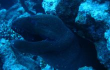 Egipt Hurghada - wrzesień 2007