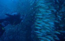 Egipt Hurghada - wrzesień 2007