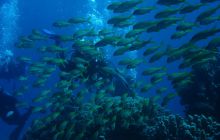 Egipt Hurghada - wrzesień 2007