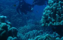 Egipt Hurghada - wrzesień 2007