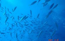 Egipt Hurghada - wrzesień 2007