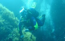 Malta/Gozo - 12 sierpień 2011