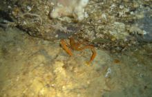 Malta/Gozo - 12 sierpień 2011