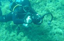 Malta/Gozo - 12 sierpień 2011