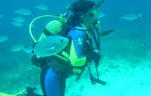 Malta/Gozo - 12 sierpień 2011