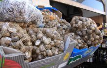 Malta/Gozo - 12 sierpień 2011