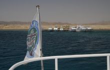 Nurkowa Safaga 4 maj 2012