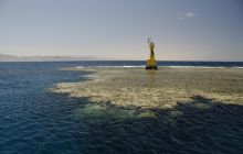 Nurkowa Safaga 4 maj 2012