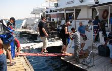 Nurkowa Safaga 4 maj 2012