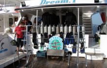 Nurkowa Safaga 4 maj 2012