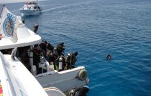 Nurkowa Safaga 4 maj 2012