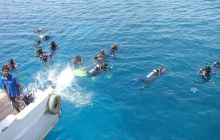 Nurkowa Safaga 4 maj 2012