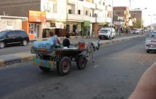 Nurkowa Safaga 4 maj 2012