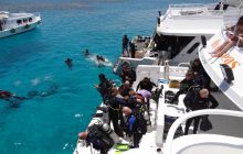 Nurkowa Safaga 4 maj 2012