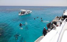 Nurkowa Safaga 4 maj 2012