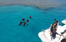 Nurkowa Safaga 4 maj 2012