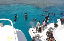 Nurkowa Safaga 4 maj 2012