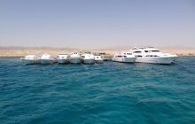 Nurkowa Safaga 4 maj 2012