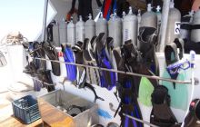 Nurkowa Safaga 4 maj 2012