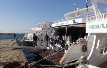 Nurkowa Safaga 4 maj 2012