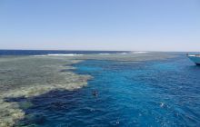 Nurkowa Safaga 4 maj 2012