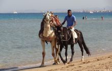 Nurkowa Safaga 4 maj 2012