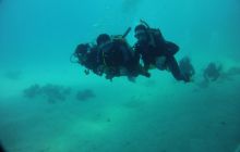 Nurkowa Safaga 4 maj 2012