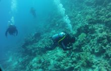 Nurkowa Safaga 4 maj 2012