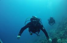 Nurkowa Safaga 4 maj 2012