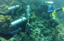 Nurkowa Safaga 4 maj 2012