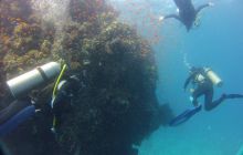 Nurkowa Safaga 4 maj 2012