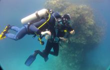 Nurkowa Safaga 4 maj 2012