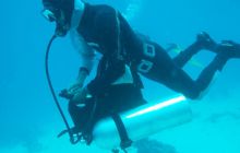 Nurkowa Safaga 4 maj 2012