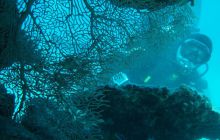 Nurkowa Safaga 4 maj 2012