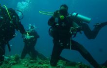 Nurkowa Safaga 4 maj 2012