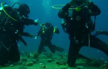 Nurkowa Safaga 4 maj 2012