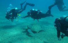 Nurkowa Safaga 4 maj 2012