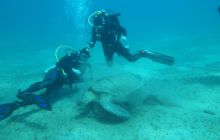 Nurkowa Safaga 4 maj 2012