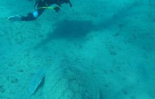 Nurkowa Safaga 4 maj 2012