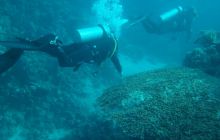 Nurkowa Safaga 4 maj 2012