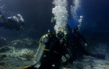 Safari St'Johns - 27 kwiecień 2012