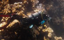 Safari St'Johns - 27 kwiecień 2012