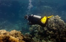 Safari St'Johns - 27 kwiecień 2012