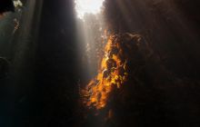 Safari St'Johns - 27 kwiecień 2012