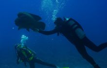 Safari St'Johns - 27 kwiecień 2012