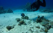 Safari St'Johns - 27 kwiecień 2012