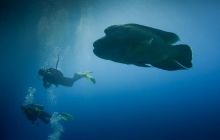 Safari St'Johns - 27 kwiecień 2012